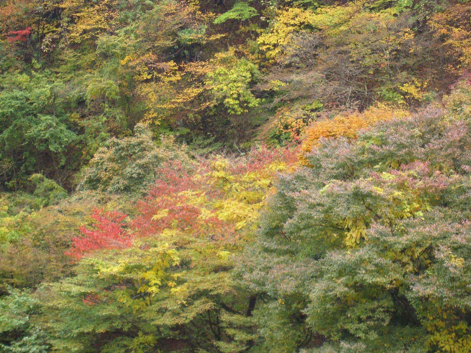 Koduchi No Yado Tsurukamedaikichi Nikko Exterior foto