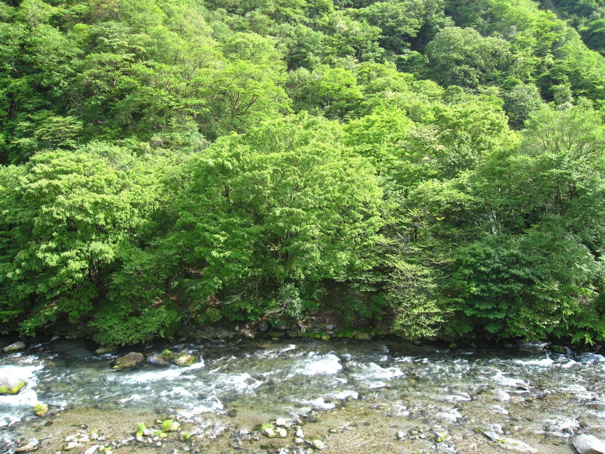 Koduchi No Yado Tsurukamedaikichi Nikko Exterior foto